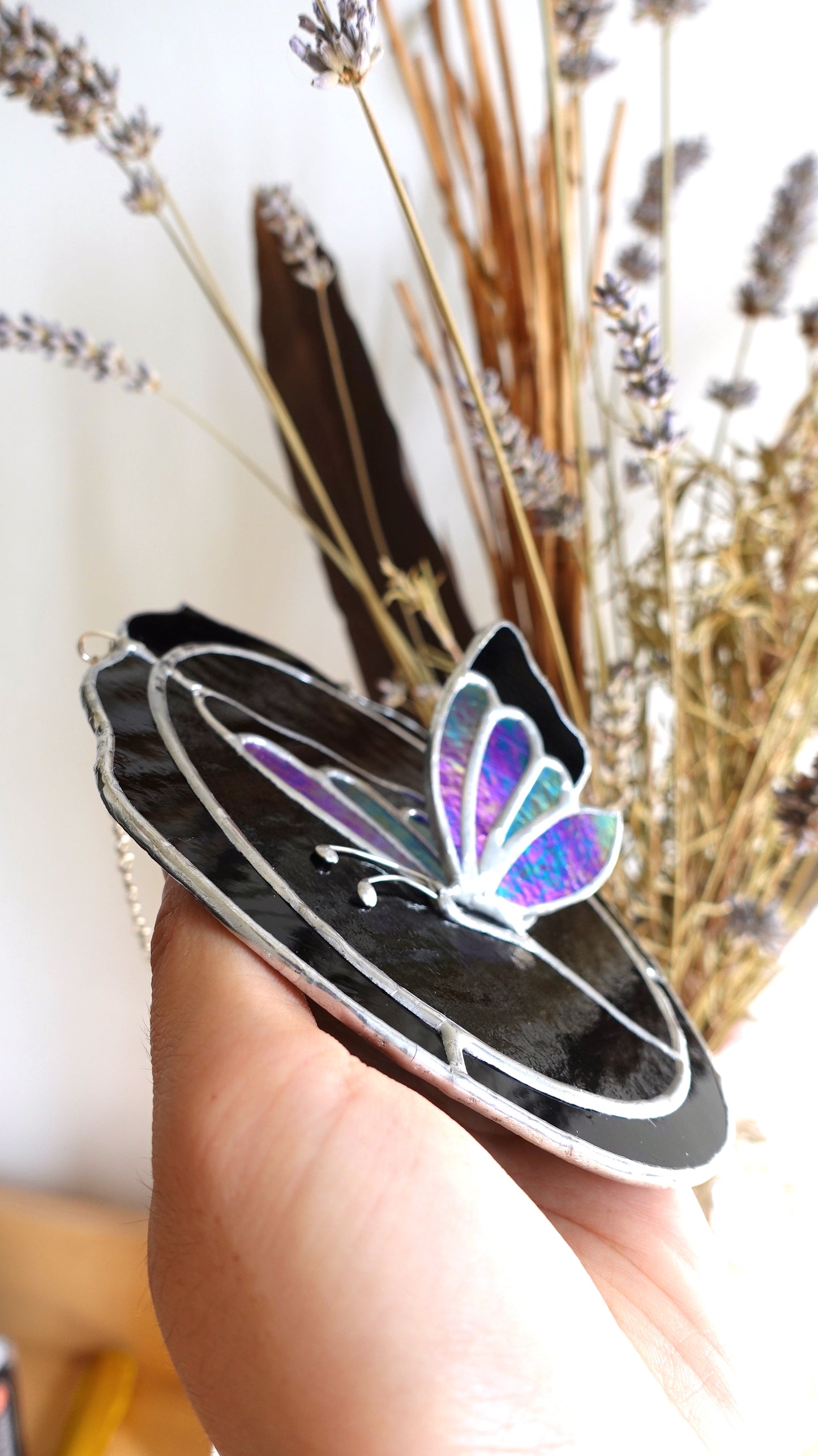 Papillon