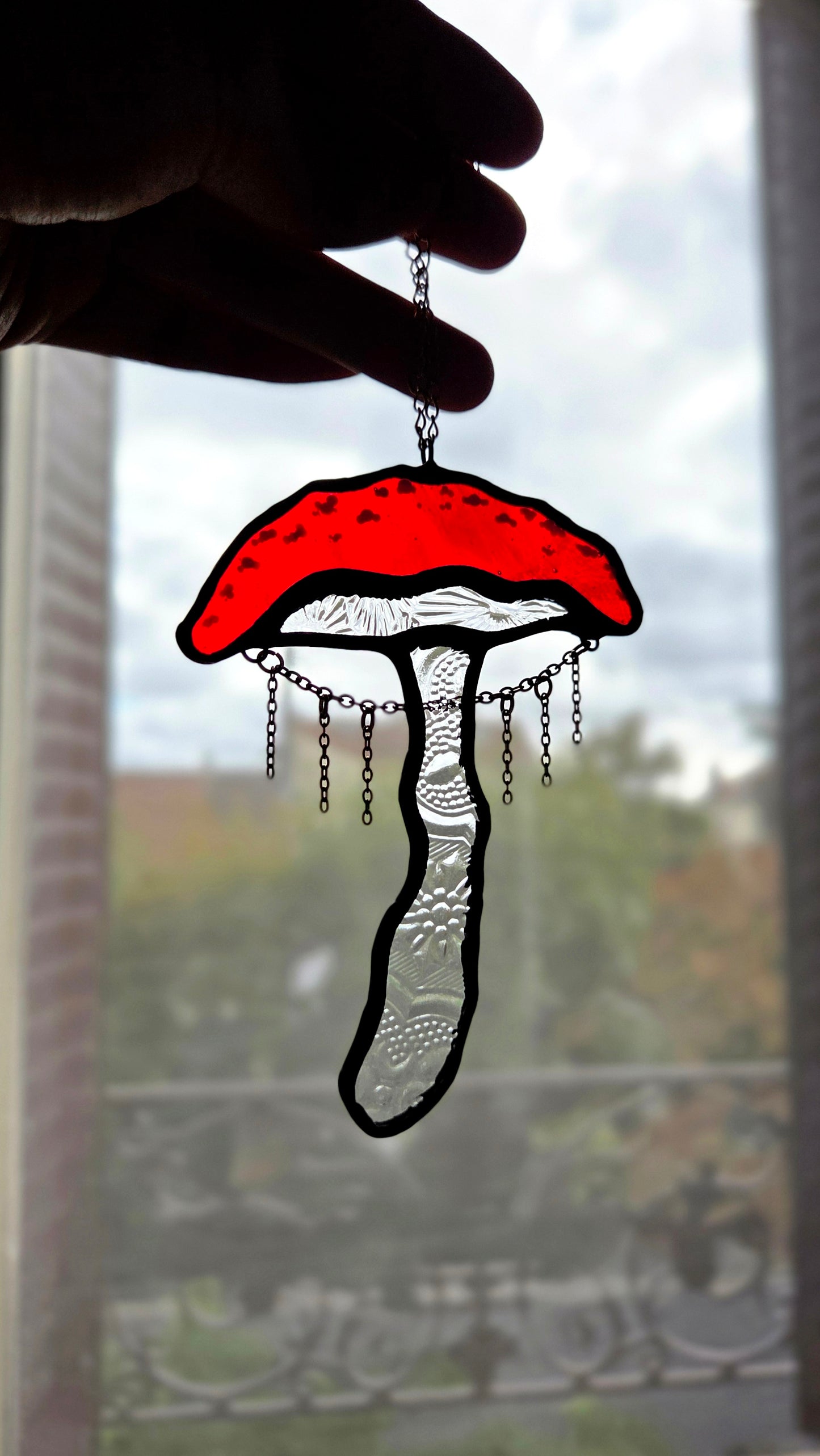 Champignon des Fées Dansantes