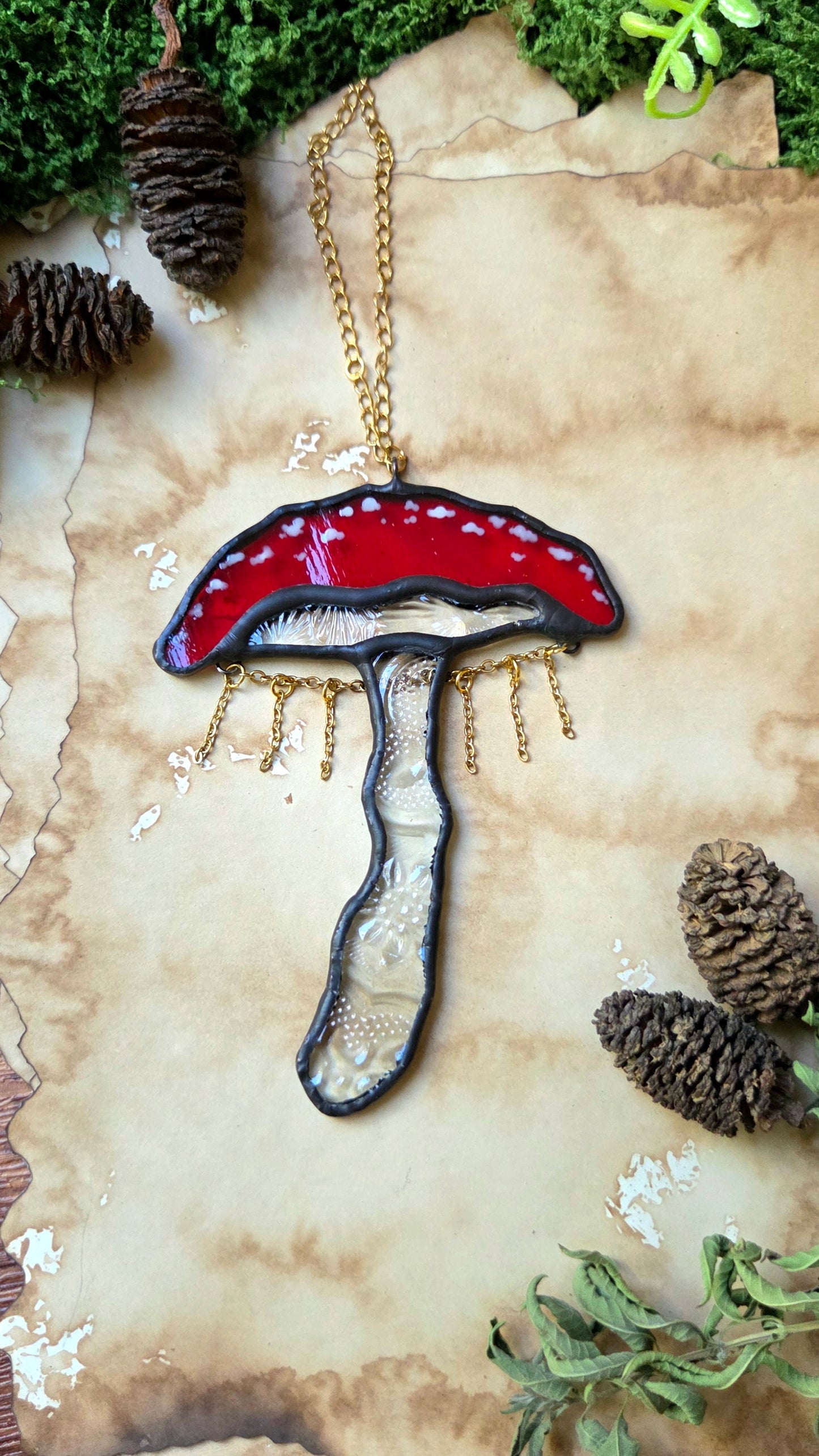 Champignon des Fées Dansantes
