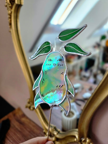 La petite famille de mandragores