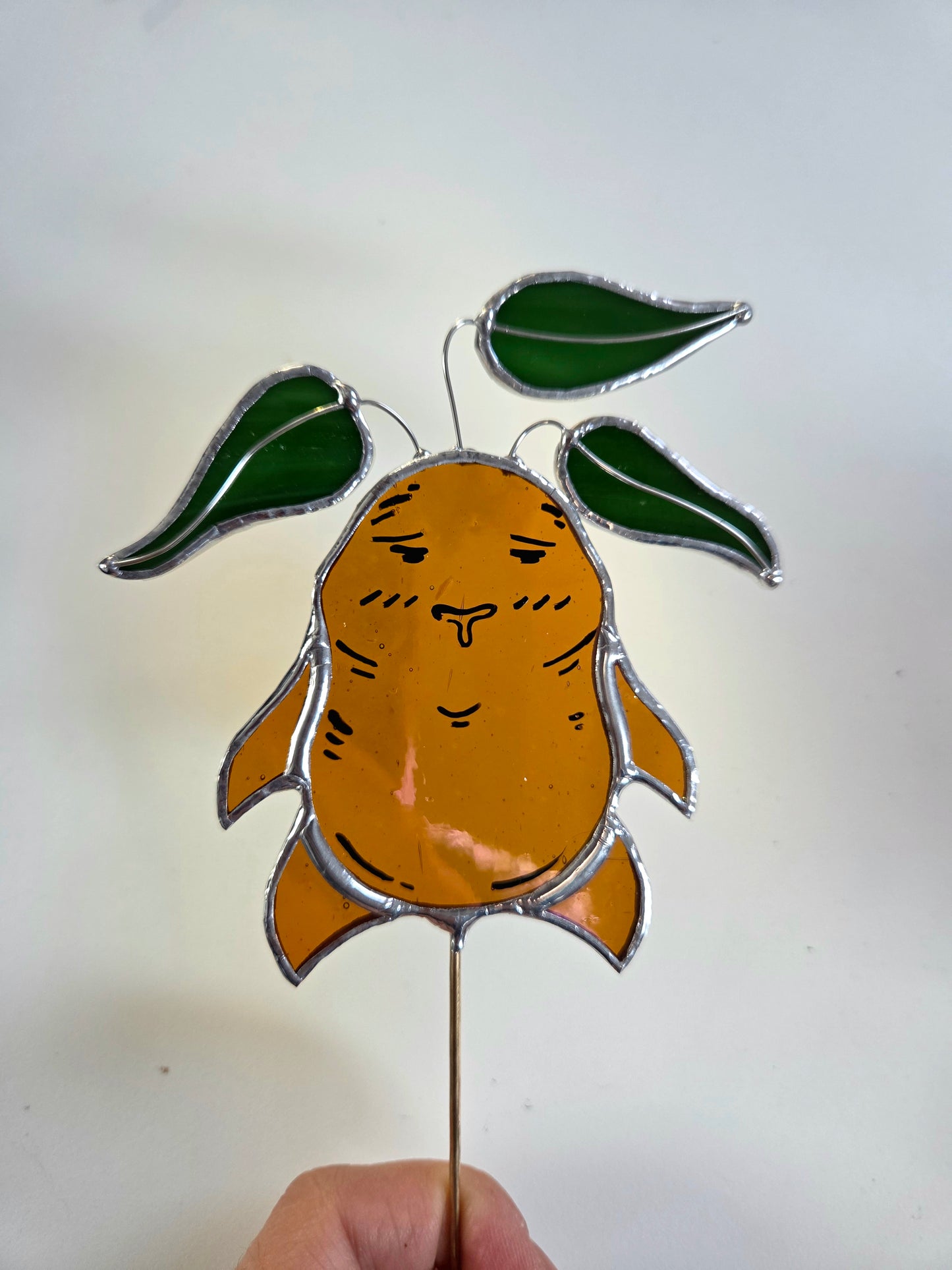 La petite famille de mandragores