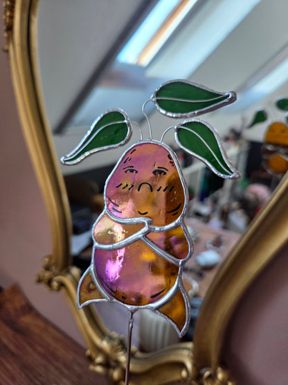 La petite famille de mandragores