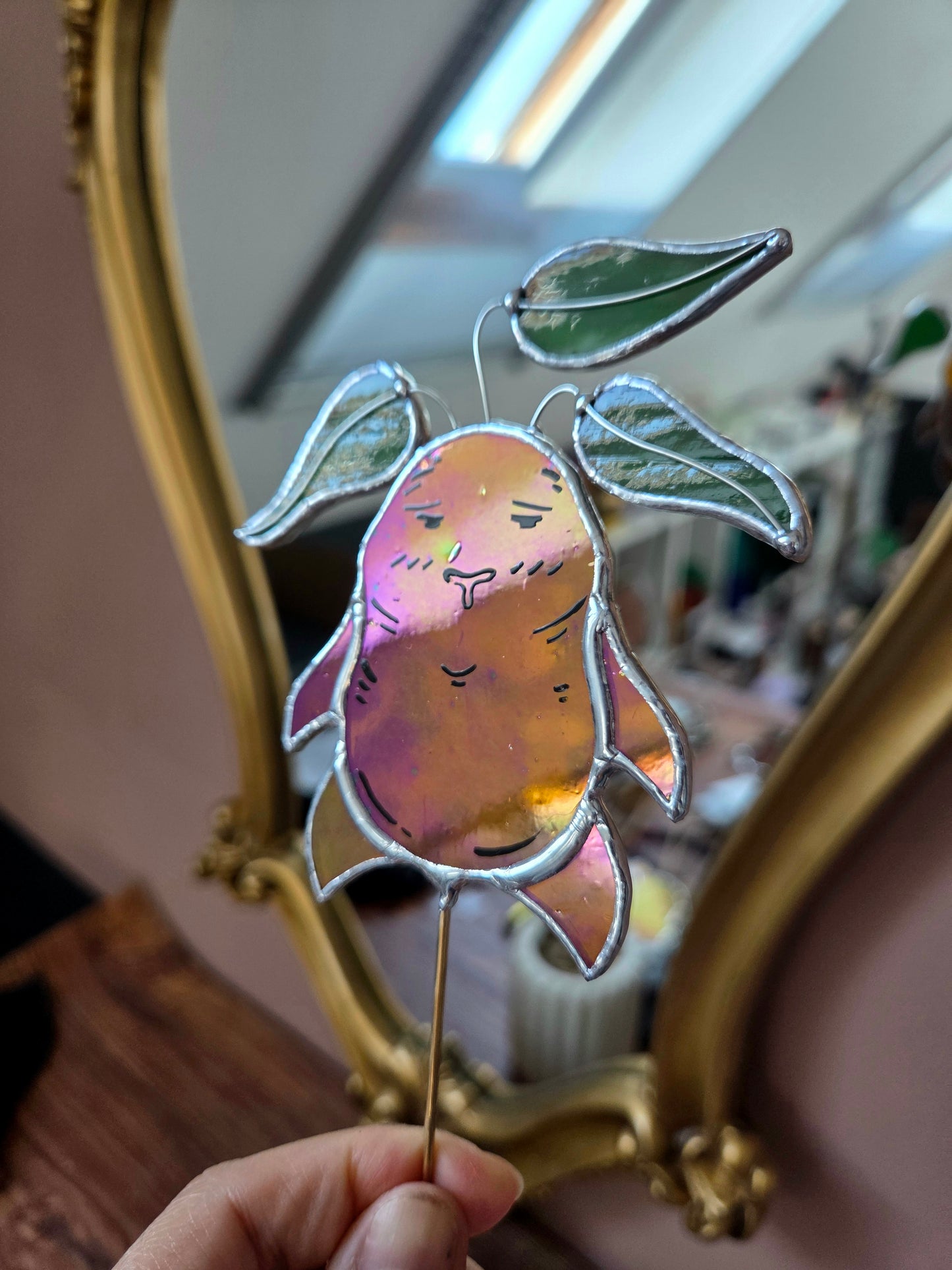 La petite famille de mandragores