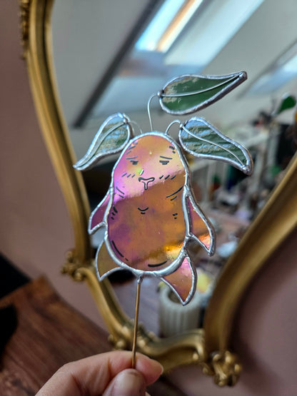 La petite famille de mandragores