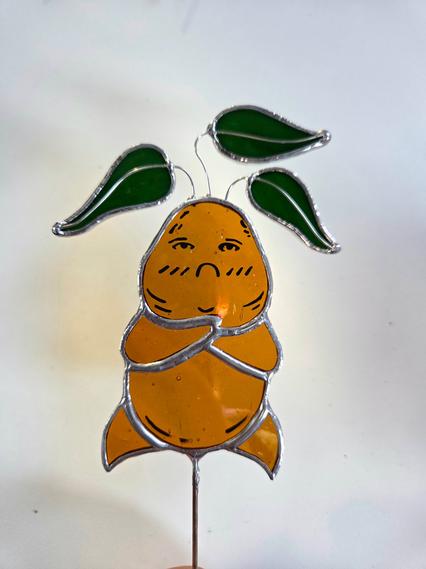 La petite famille de mandragores